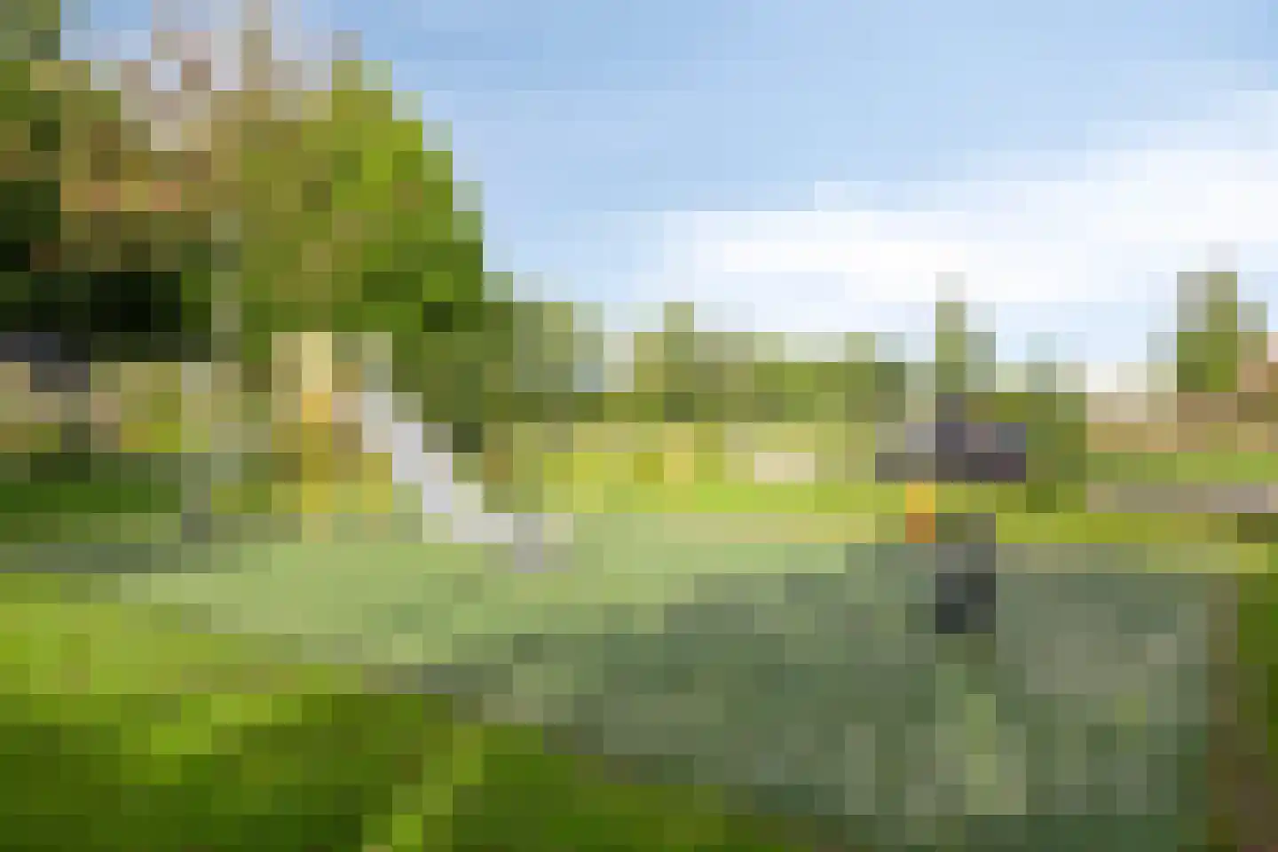 Bergmolen 42 Heerhugowaard thumbnail 15