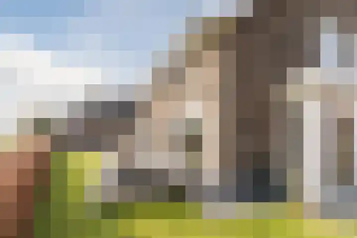 Bergmolen 6 Loosbroek thumbnail 61