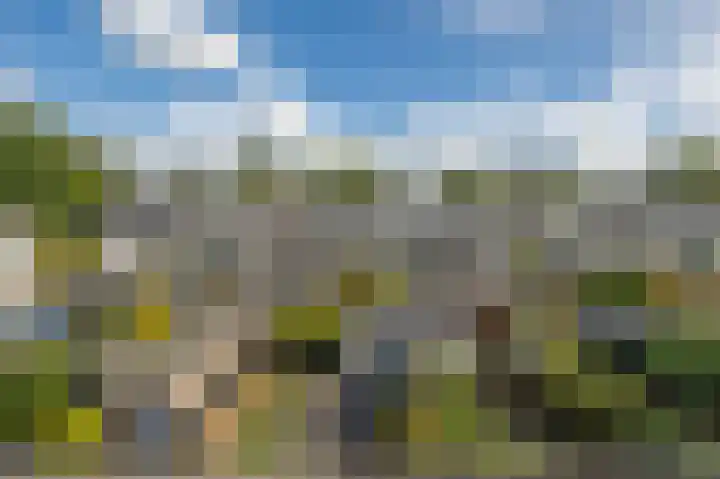 Bergmolen 9 Alphen aan den Rijn thumbnail 6