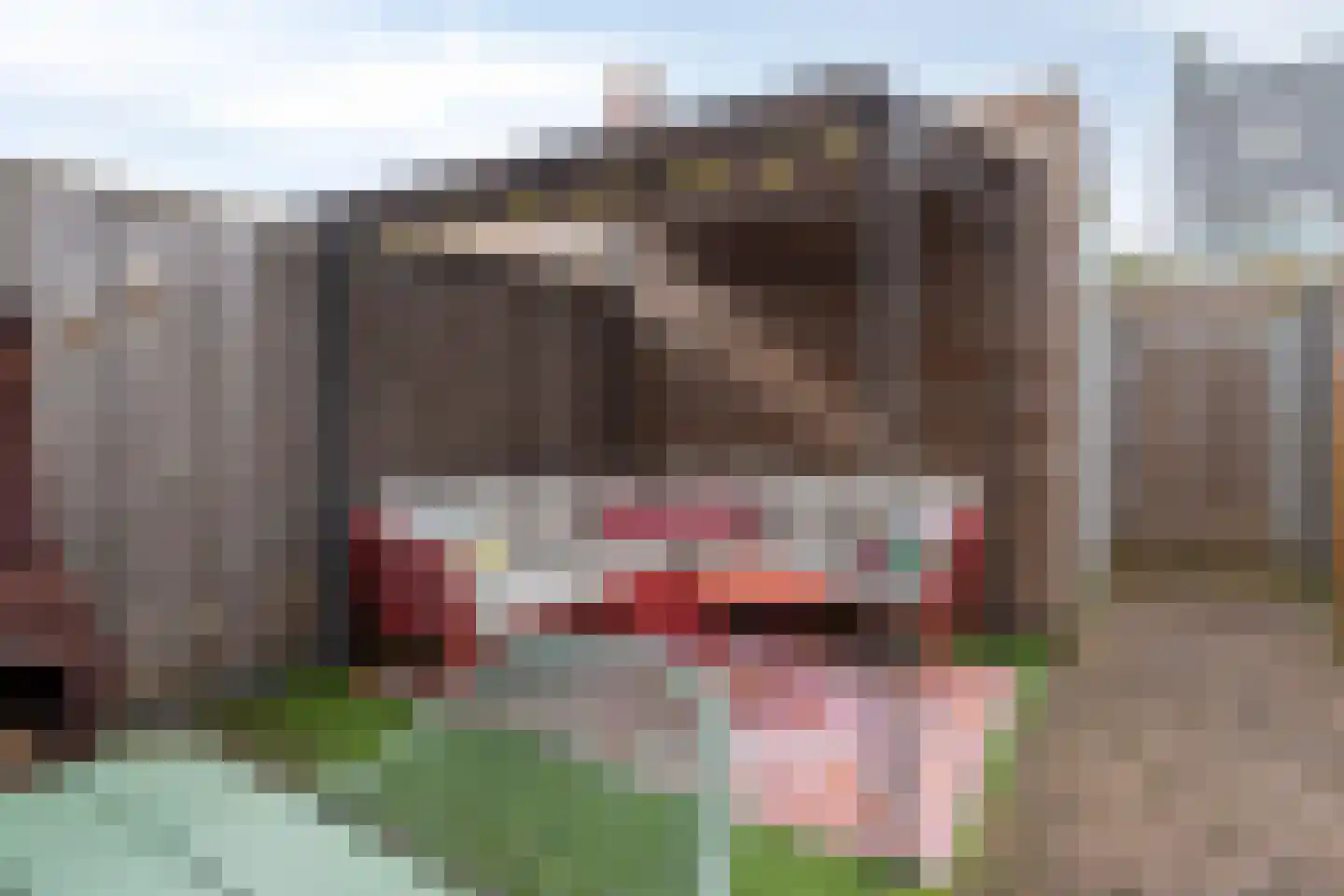 Bergmolenstraat 10 Loon op Zand thumbnail 28
