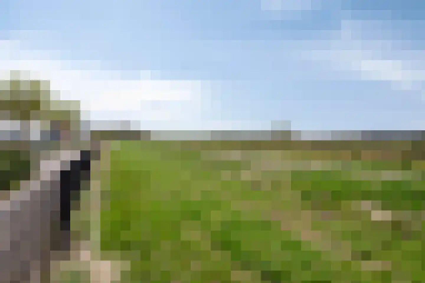 Bergmolenstraat 10 Loon op Zand thumbnail 30