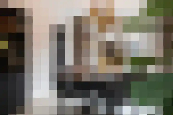Bergmolenstraat 3 Raalte thumbnail 10