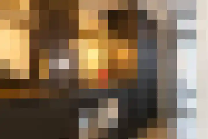 Bergmolenstraat 3 Raalte thumbnail 15