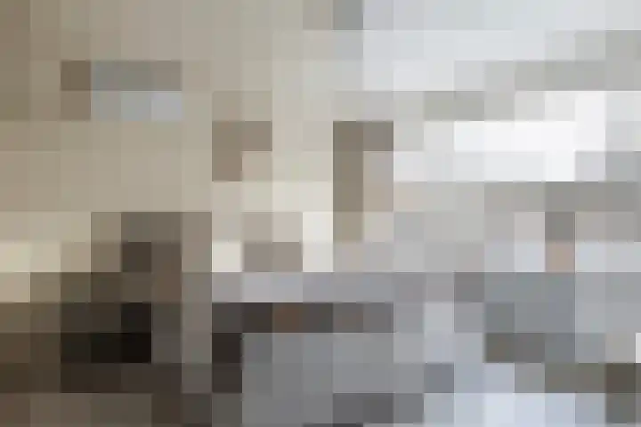 Bergmolenstraat 3 Raalte thumbnail 22