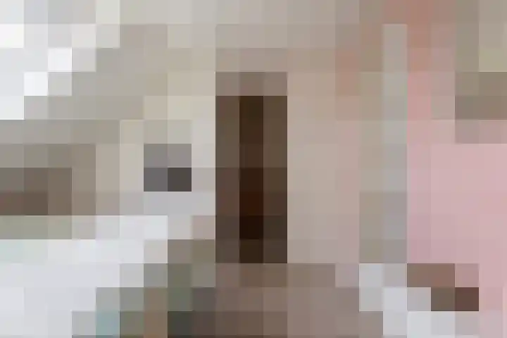 Bergmolenstraat 3 Raalte thumbnail 27