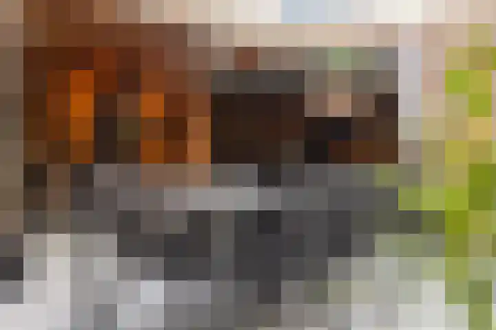 Bergmolenstraat 3 Raalte thumbnail 30