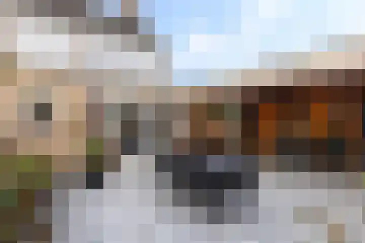 Bergmolenstraat 3 Raalte thumbnail 31