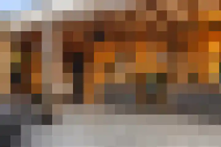 Bergmolenstraat 3 Raalte thumbnail 34
