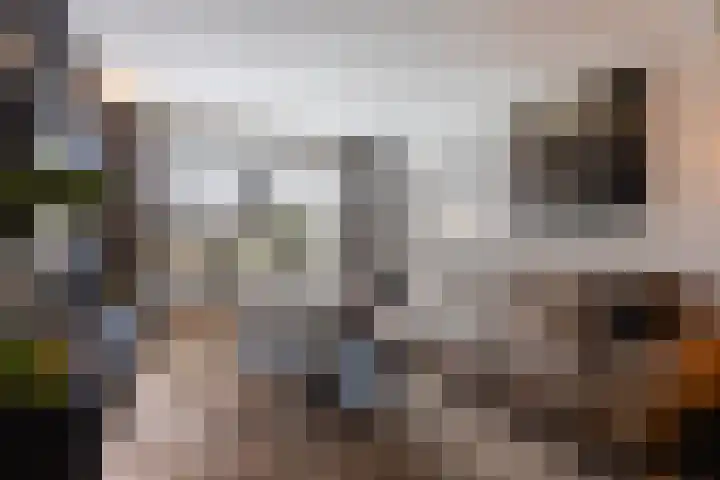 Bergmolenstraat 3 Raalte thumbnail 7