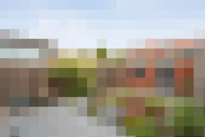 Bergmolenstraat 47 Raalte thumbnail 27