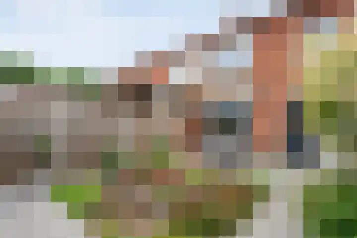 Bergmolenstraat 47 Raalte thumbnail 29