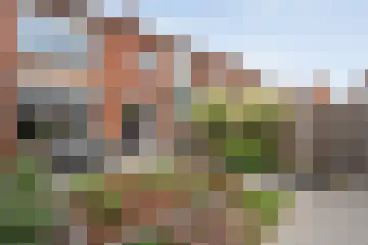 Bergmolenstraat 47 Raalte thumbnail 30