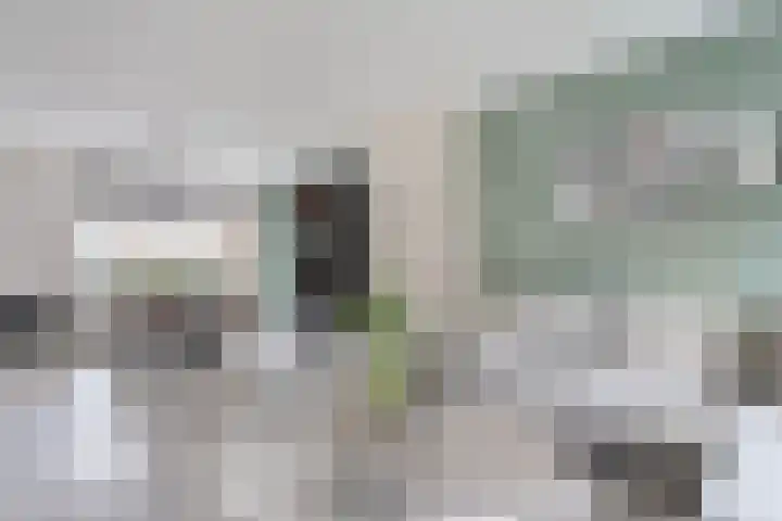 Bergmolenstraat 47 Raalte thumbnail 8