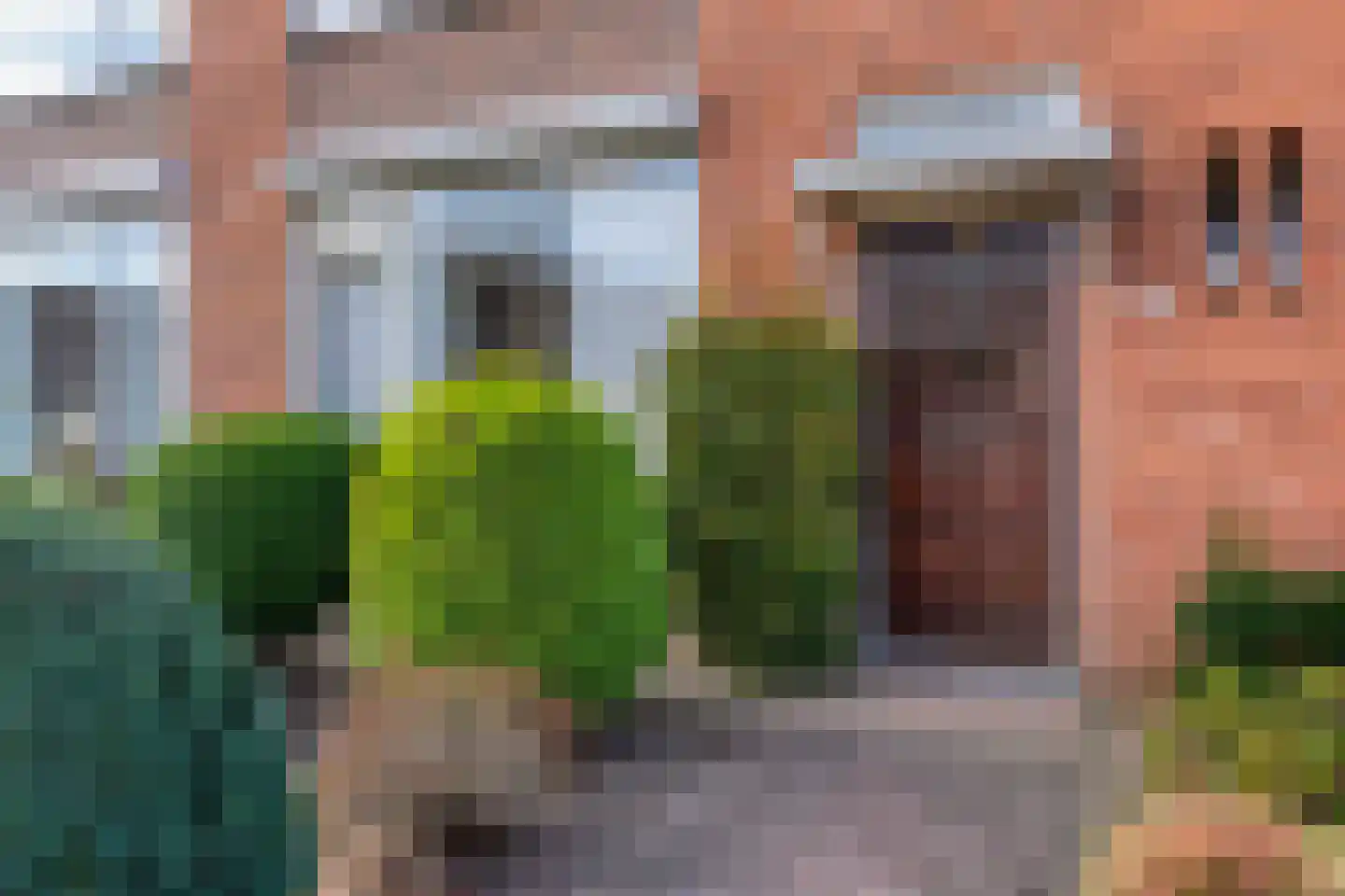 Bergmolenstraat 54 Raalte thumbnail 10