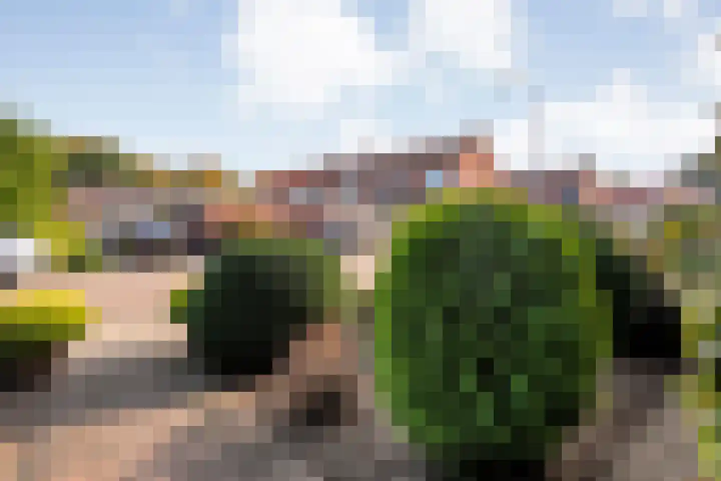 Bergmolenstraat 54 Raalte thumbnail 9