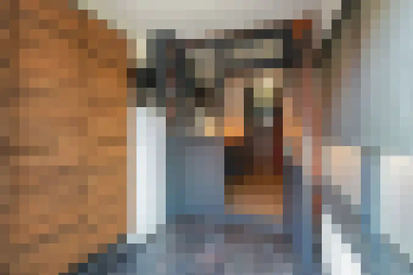 Bergmolenstraat 69 Raalte thumbnail 14