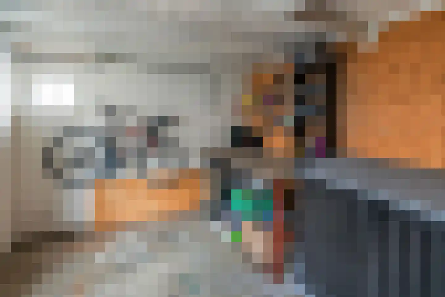Bergmolenstraat 69 Raalte thumbnail 29