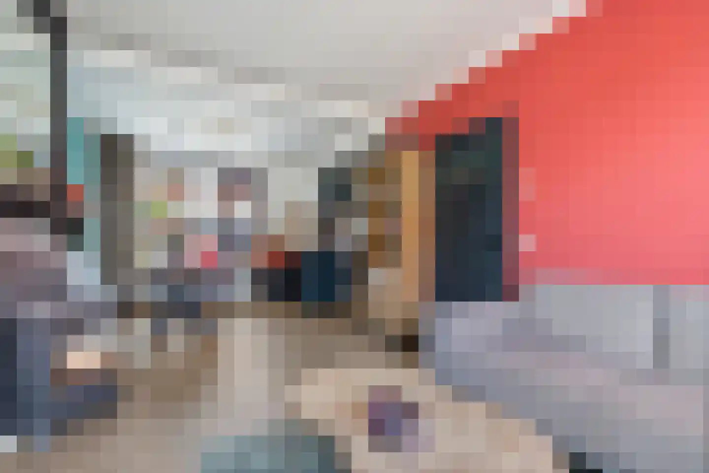 Bergmolenstraat 69 Raalte thumbnail 7