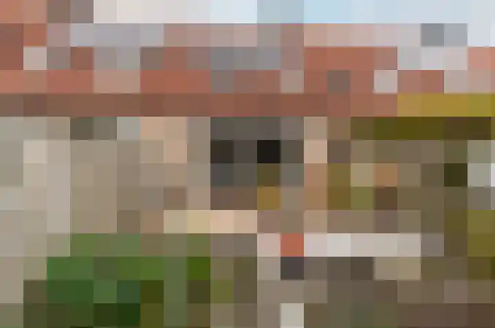 Bergmolenstraat 9 Almere thumbnail 32