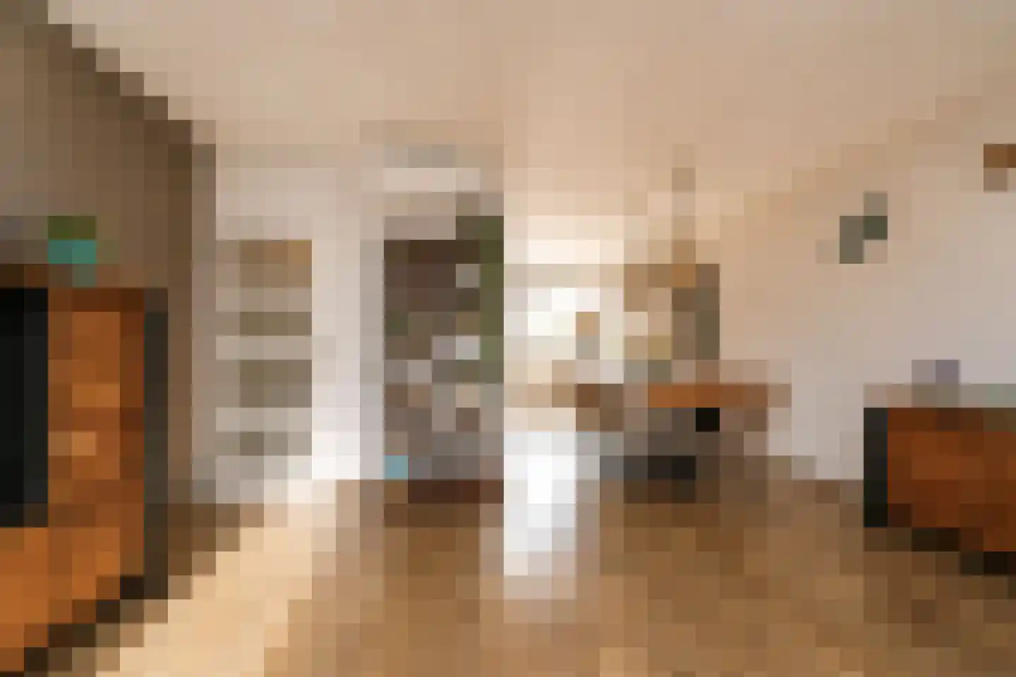 Bergoord 10 Rotterdam thumbnail 10