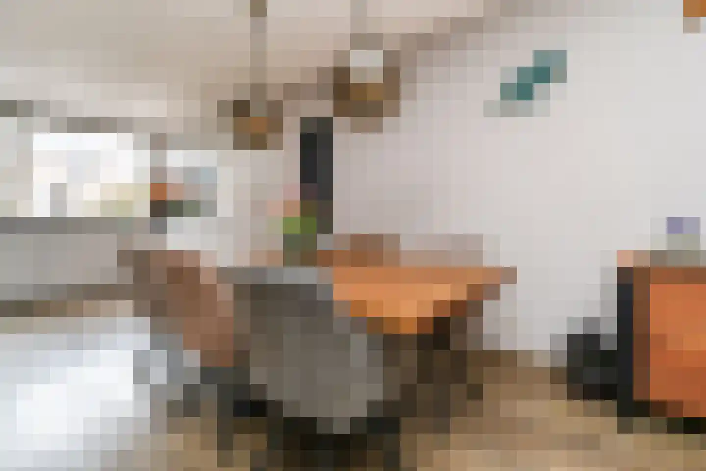 Bergoord 10 Rotterdam thumbnail 12