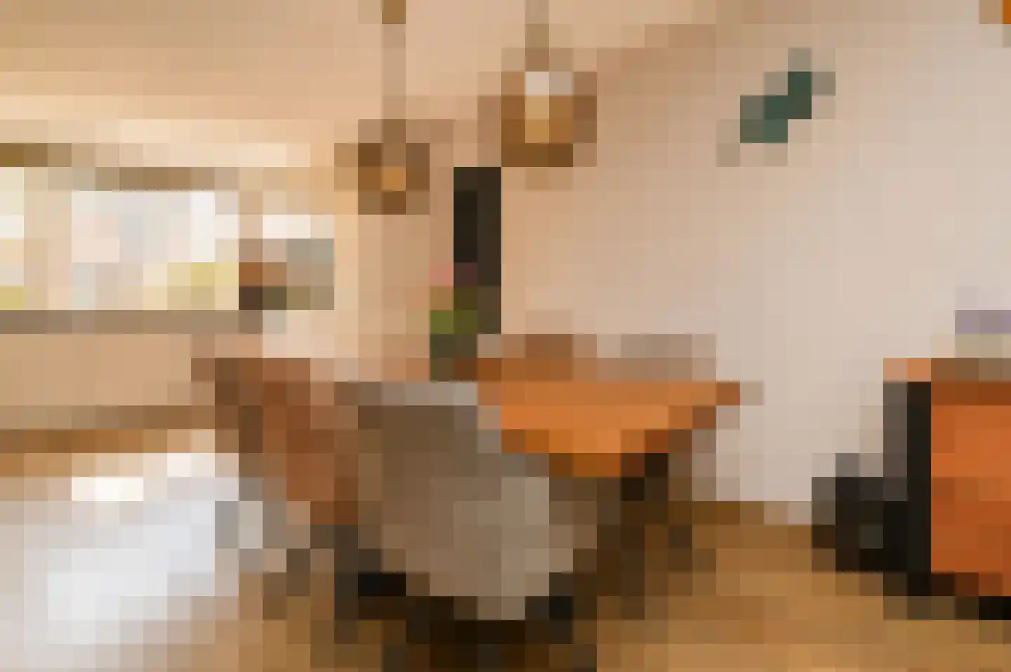 Bergoord 10 Rotterdam thumbnail 12