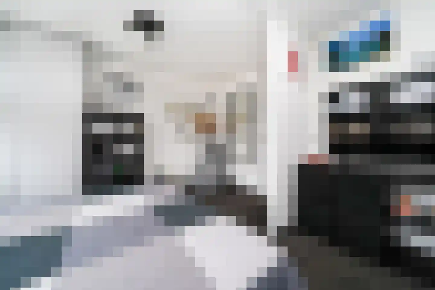 Bergoord 10 Rotterdam thumbnail 22