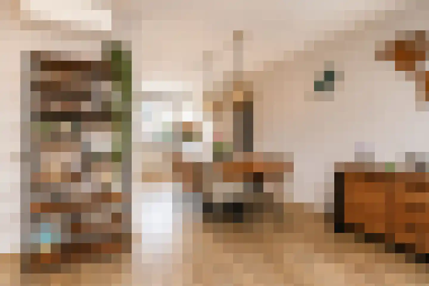 Bergoord 10 Rotterdam thumbnail 9