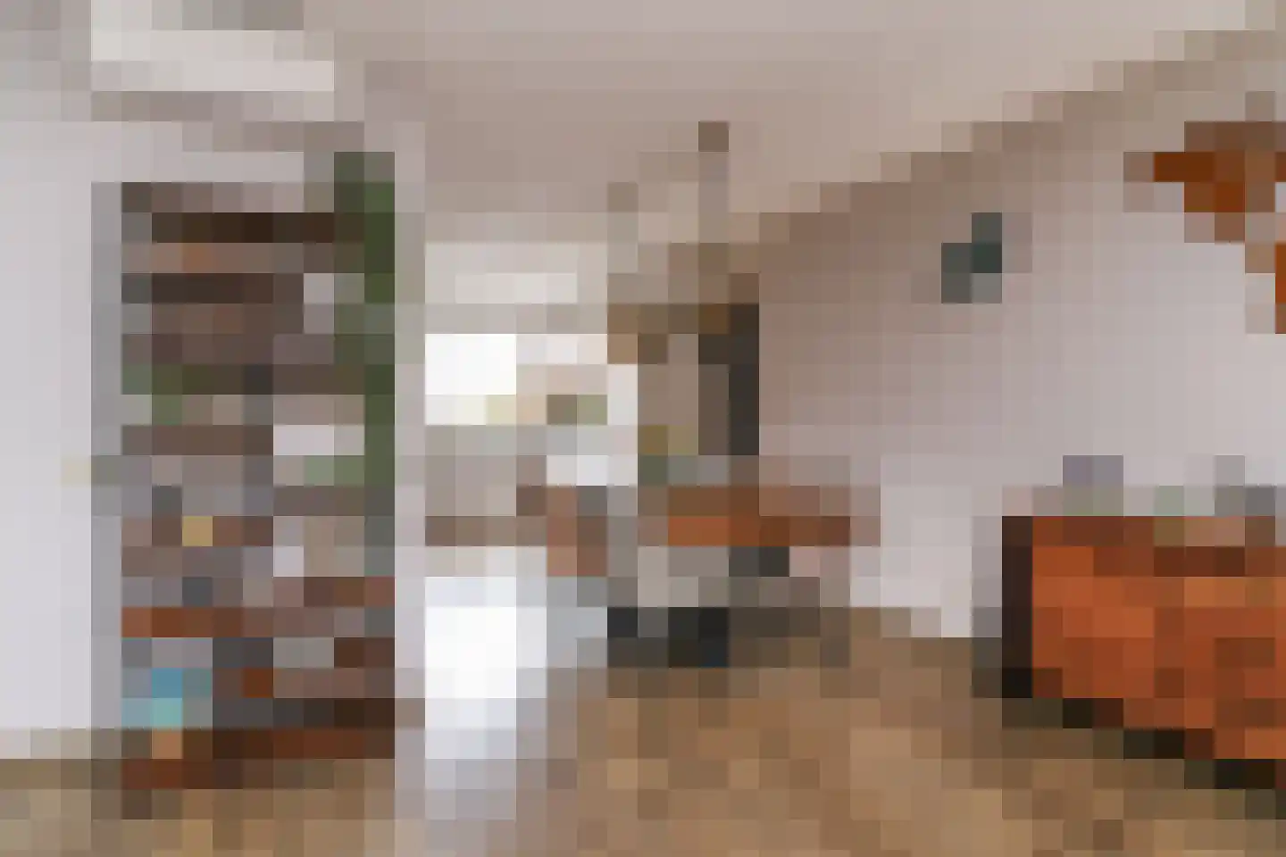 Bergoord 10 Rotterdam thumbnail 9