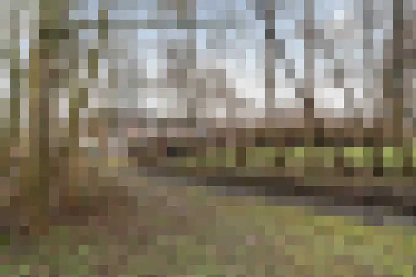Bergoord 11 Rotterdam thumbnail 32