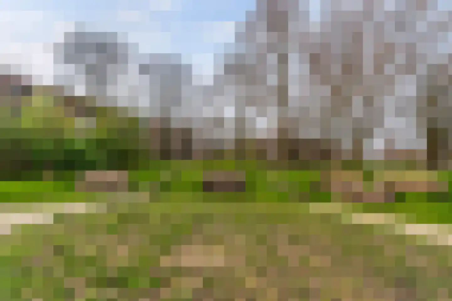 Bergoord 11 Rotterdam thumbnail 33