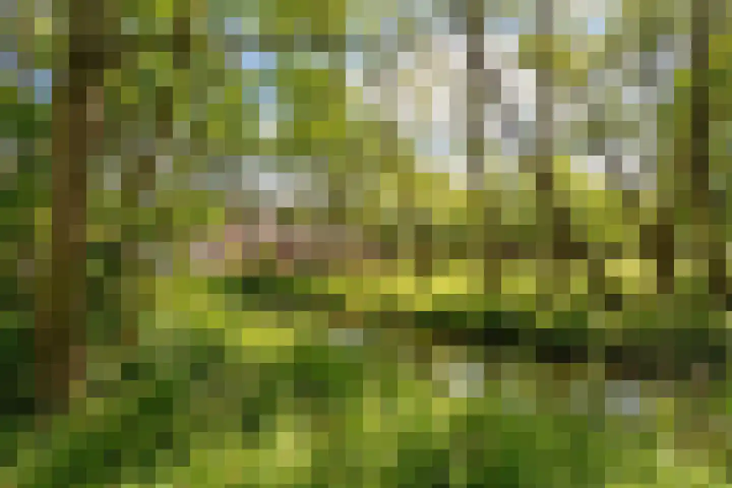 Bergoord 11 Rotterdam thumbnail 35