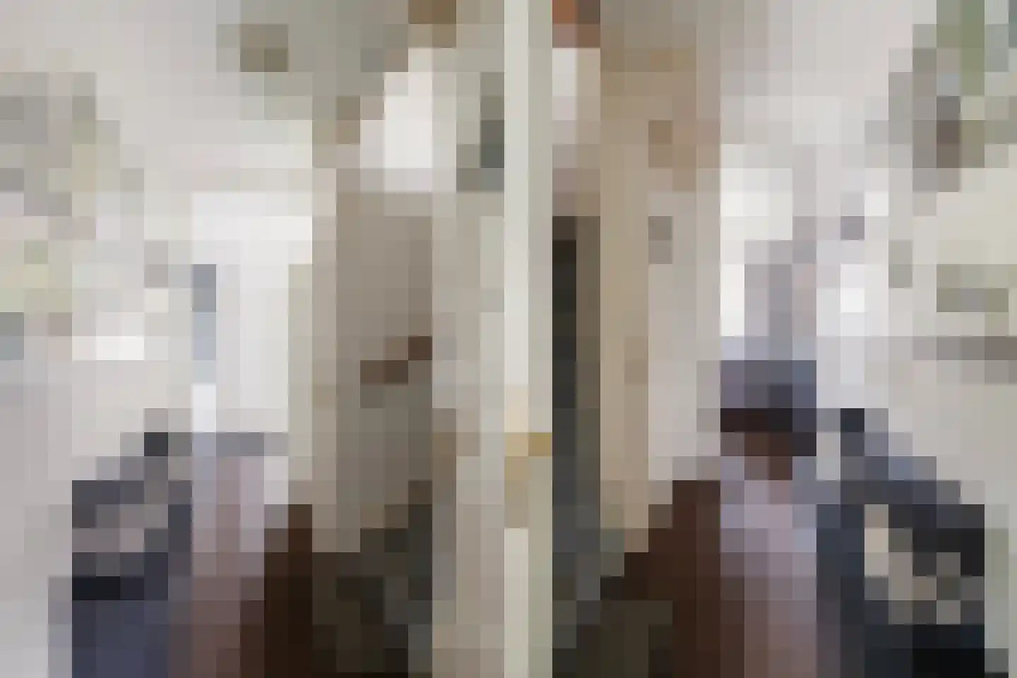 Bergoord 11 Rotterdam thumbnail 9