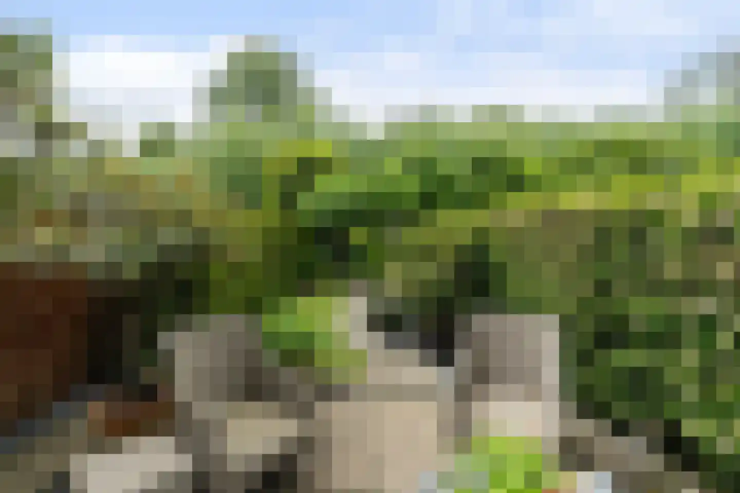 Bergoord 21 Rotterdam thumbnail 30
