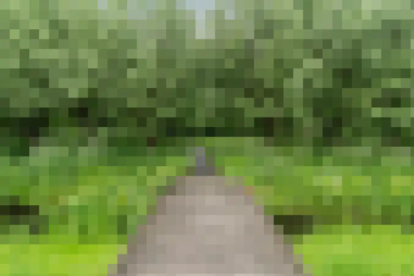 Bergoord 21 Rotterdam thumbnail 33