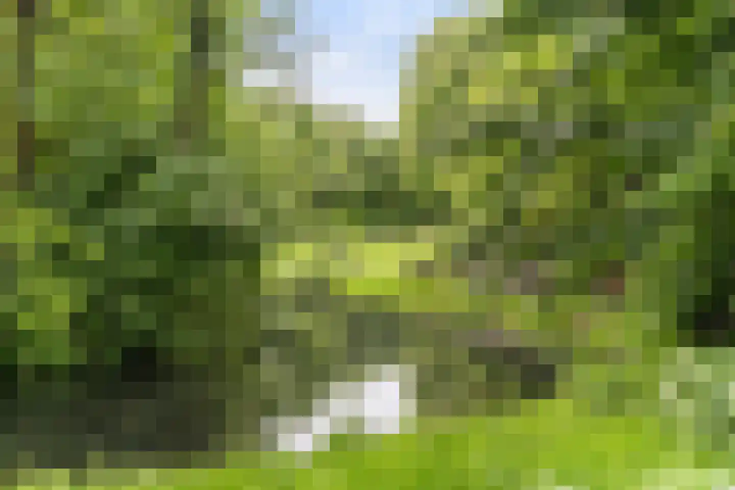 Bergoord 21 Rotterdam thumbnail 35