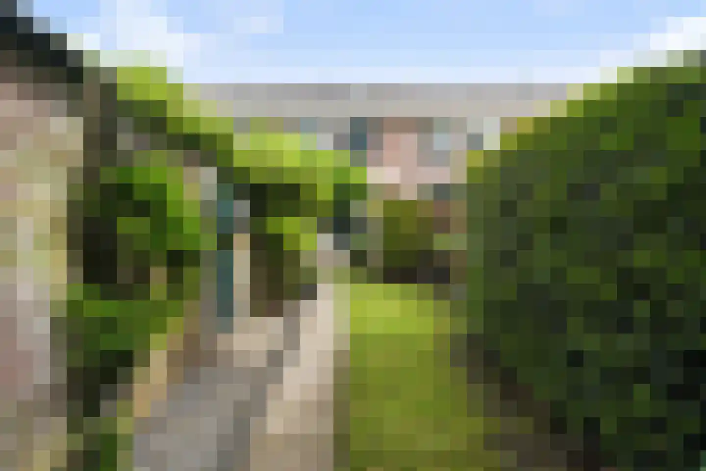 Bergoord 21 Rotterdam thumbnail 5