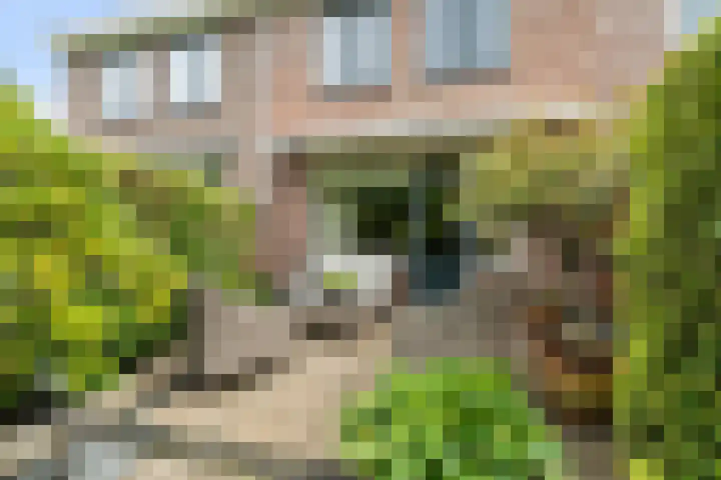Bergoord 21 Rotterdam thumbnail 6