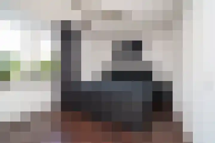 Bergoord 29 Rotterdam thumbnail 17