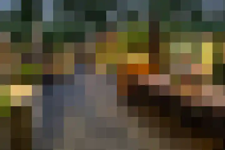 Bergoord 29 Rotterdam thumbnail 29