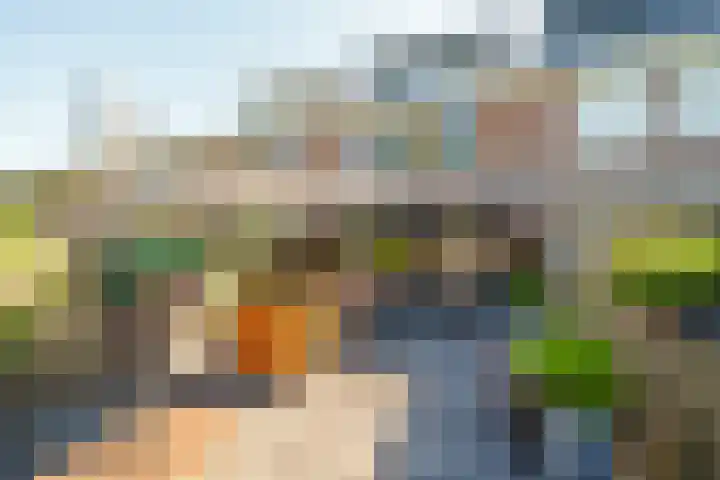 Bergoord 29 Rotterdam thumbnail 33