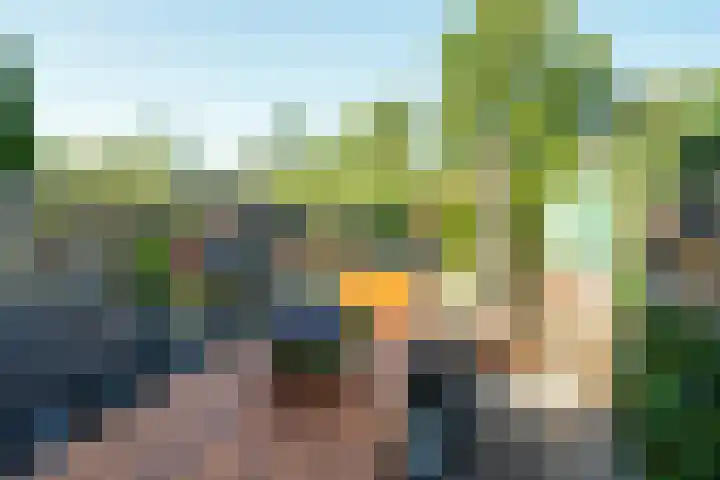 Bergoord 29 Rotterdam thumbnail 34