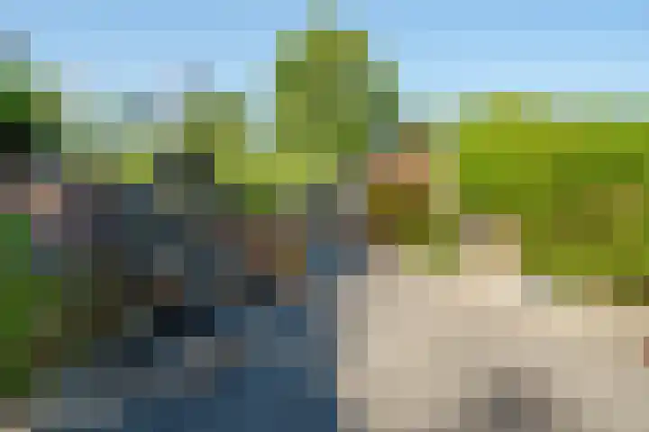 Bergoord 29 Rotterdam thumbnail 35