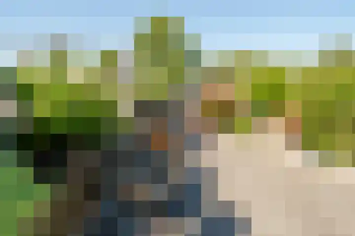 Bergoord 29 Rotterdam thumbnail 36