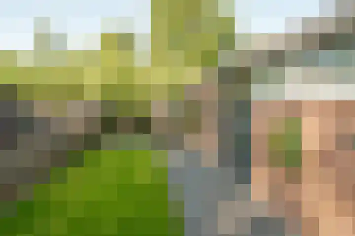 Bergoord 29 Rotterdam thumbnail 37