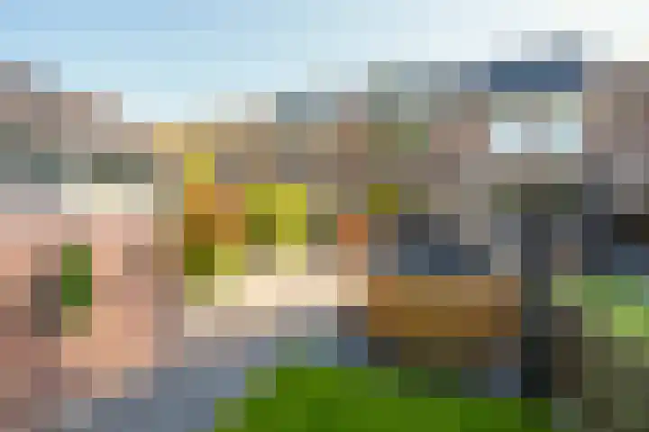 Bergoord 29 Rotterdam thumbnail 38