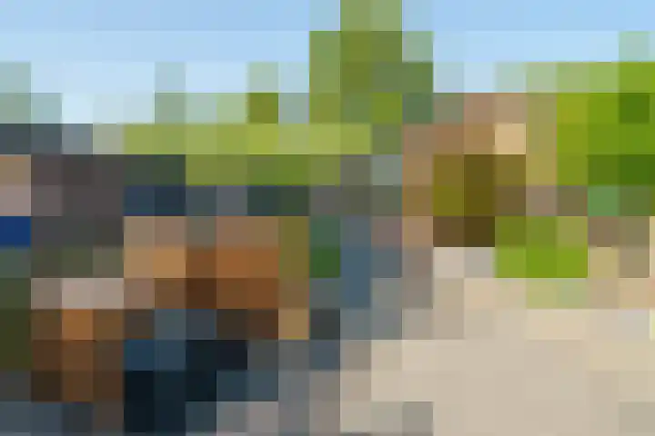 Bergoord 29 Rotterdam thumbnail 5