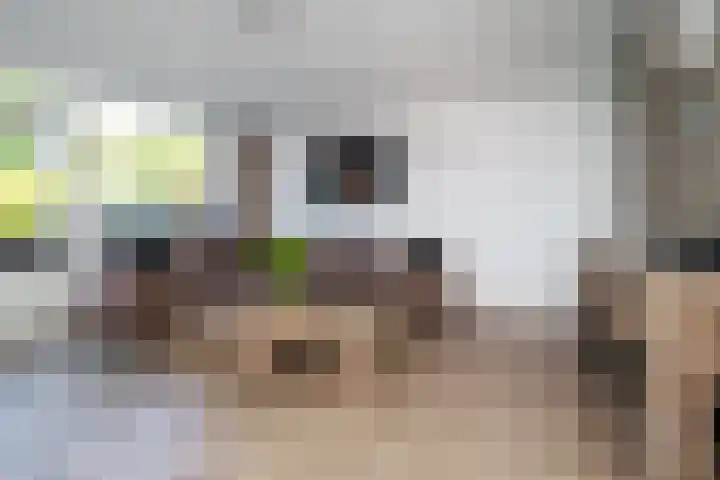 Bergoord 29 Rotterdam thumbnail 7