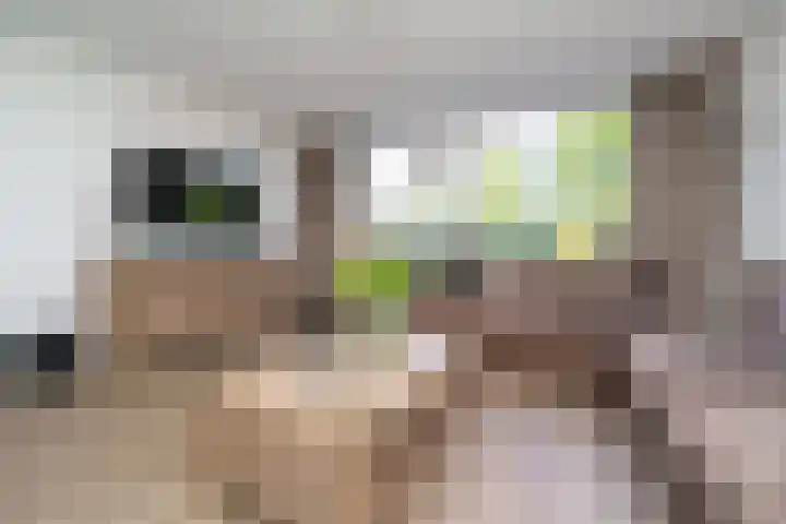 Bergoord 29 Rotterdam thumbnail 8