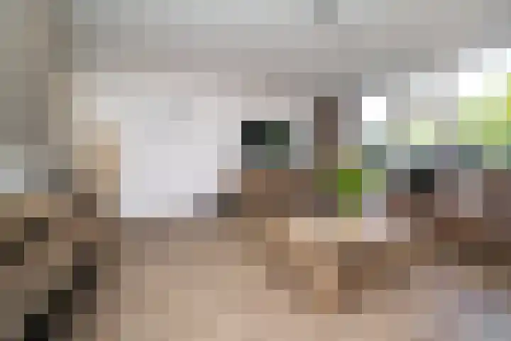 Bergoord 29 Rotterdam thumbnail 9